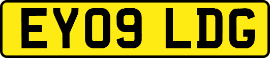 EY09LDG