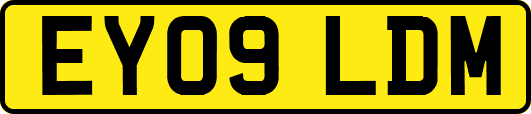 EY09LDM