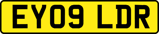 EY09LDR