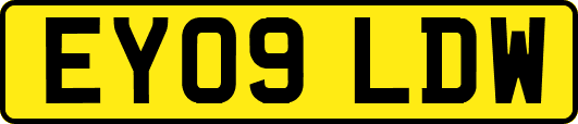 EY09LDW