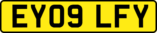 EY09LFY