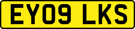 EY09LKS