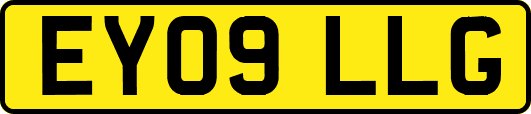 EY09LLG