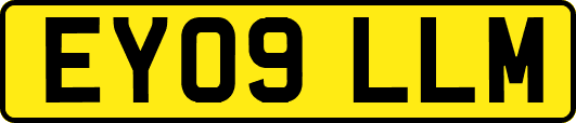EY09LLM