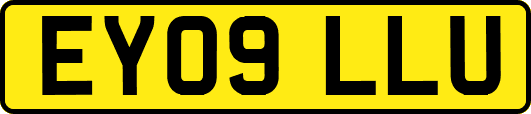 EY09LLU