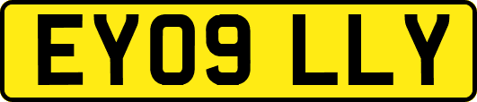 EY09LLY