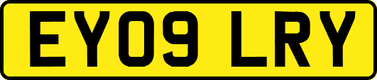 EY09LRY