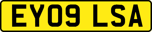 EY09LSA