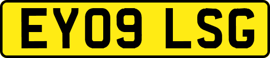 EY09LSG