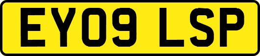 EY09LSP