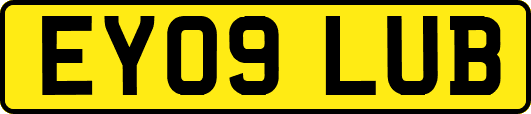 EY09LUB