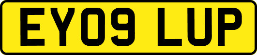 EY09LUP