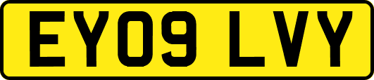EY09LVY