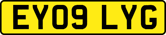 EY09LYG