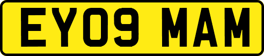 EY09MAM