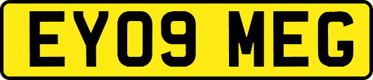 EY09MEG