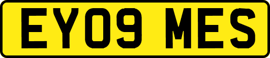 EY09MES