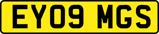 EY09MGS