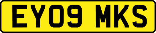 EY09MKS