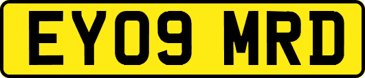 EY09MRD