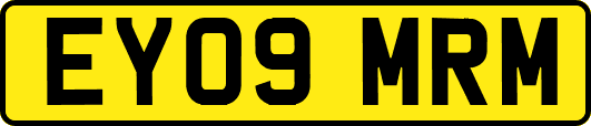 EY09MRM
