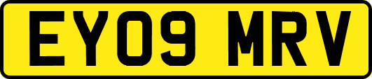 EY09MRV