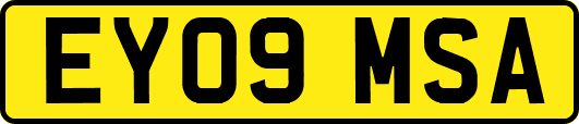 EY09MSA