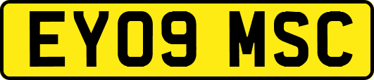 EY09MSC