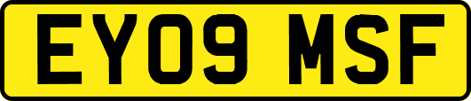 EY09MSF