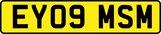 EY09MSM