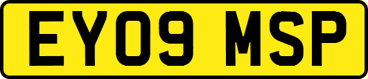EY09MSP