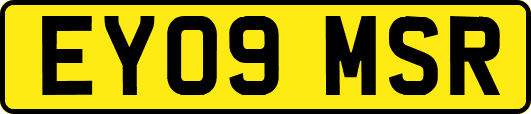 EY09MSR
