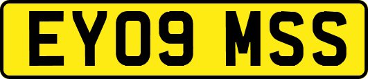 EY09MSS