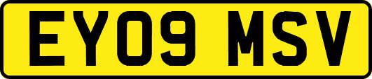 EY09MSV