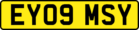EY09MSY