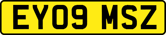 EY09MSZ
