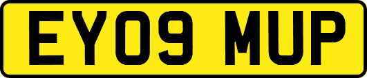 EY09MUP