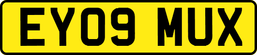 EY09MUX