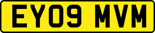EY09MVM