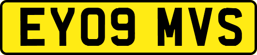 EY09MVS