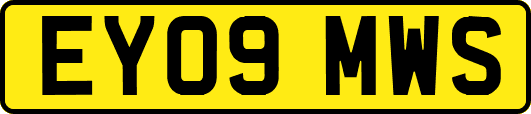 EY09MWS