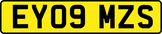 EY09MZS