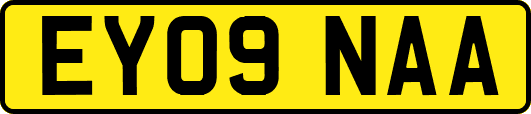 EY09NAA