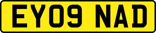 EY09NAD