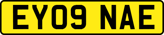 EY09NAE