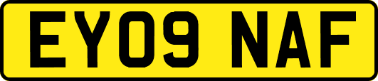 EY09NAF
