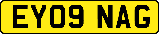 EY09NAG