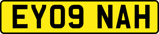 EY09NAH