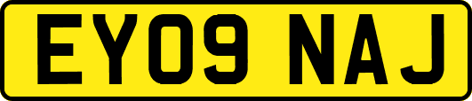 EY09NAJ