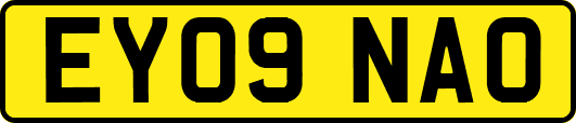 EY09NAO